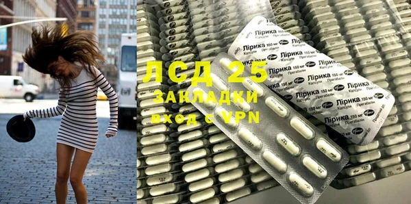 spice Белокуриха
