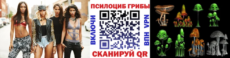 Псилоцибиновые грибы Psilocybe  Острогожск 