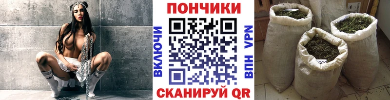закладки  Острогожск  Марихуана Ganja 